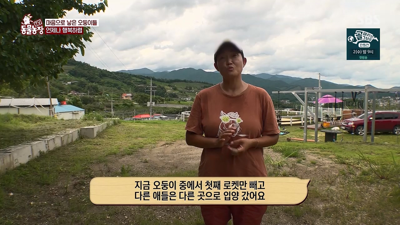 TV 동물농장 1189화 다시보기.ts_20240922_161950.947.jpg