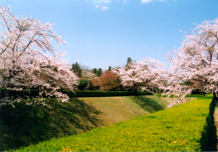 사쿠라 성 공원 Sakura Castle Park