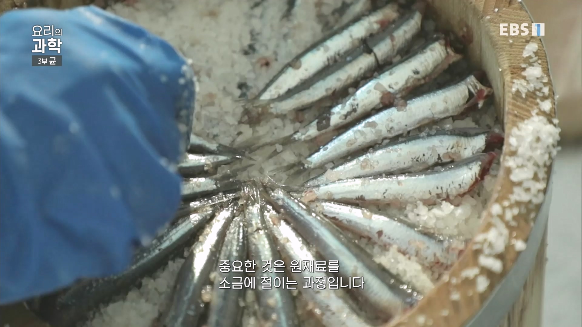 EBS 다큐프라임.201207.요리의 과학 - 3부 균0p.mp4_20240411_202629.561.jpg