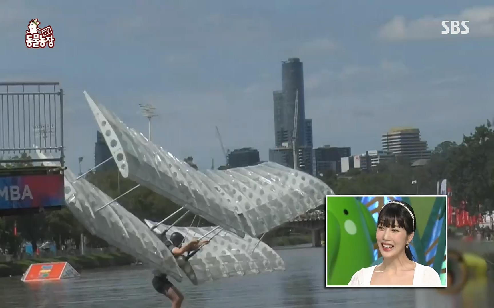 TV 동물농장.E1069.220515p.H264-F1RST.mp4_20220515_181226.730.jpg