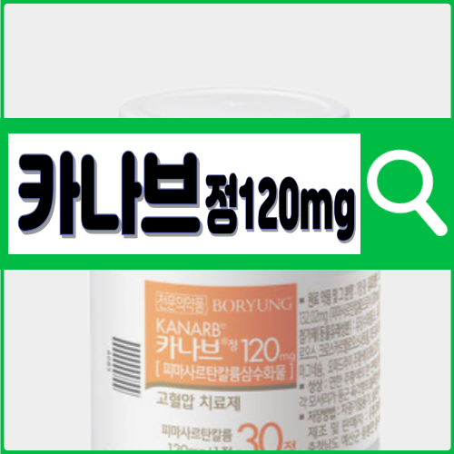카나브정