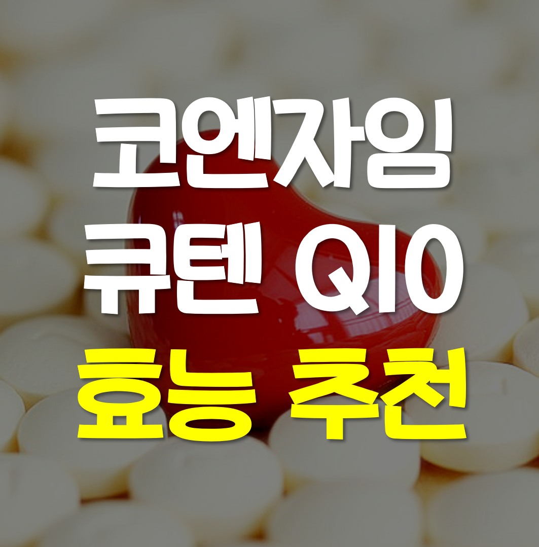  코엔자임 큐텐의 효능 추천