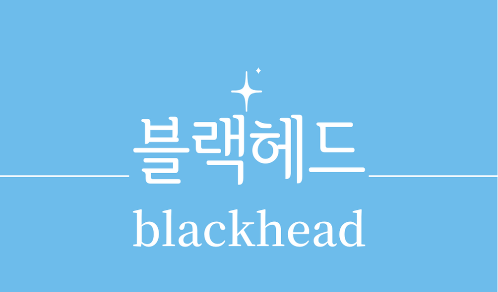 &#39;블랙헤드(blackhead)&#39;