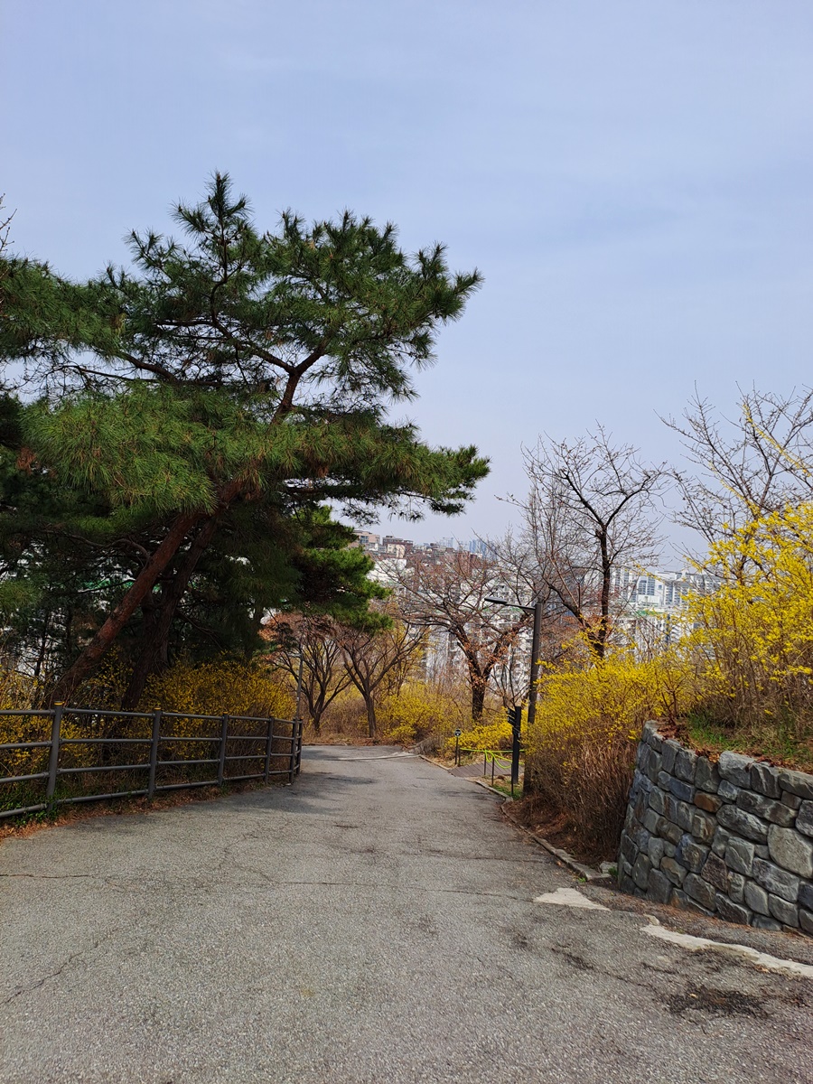서울숲-길