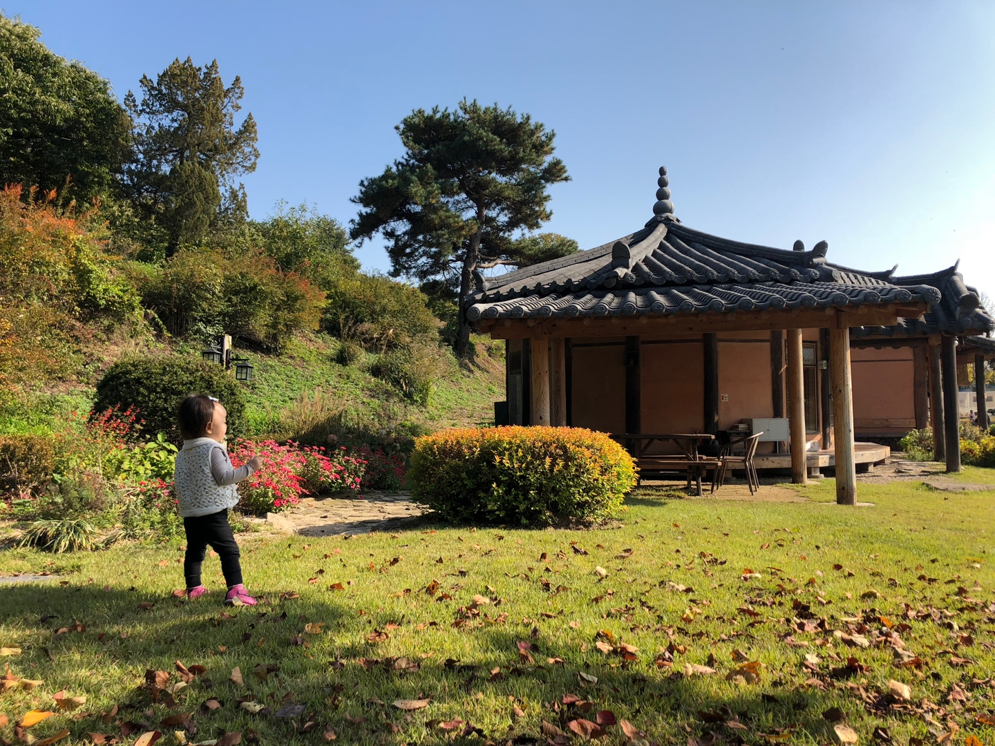 충주-카페-추천