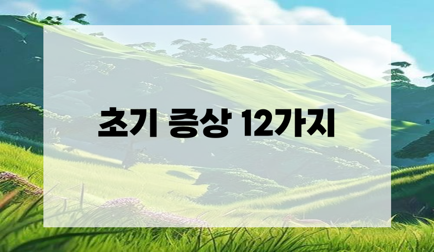 초기 증상 12가지