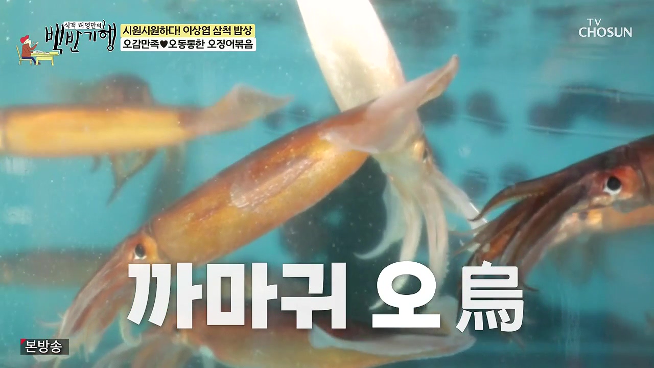 식객 허영만의 백반기행.E252.240617p-NEXT.mp4_20240617_193006.051.jpg