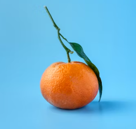 귤 효능 부작용 칼로리 고르는법