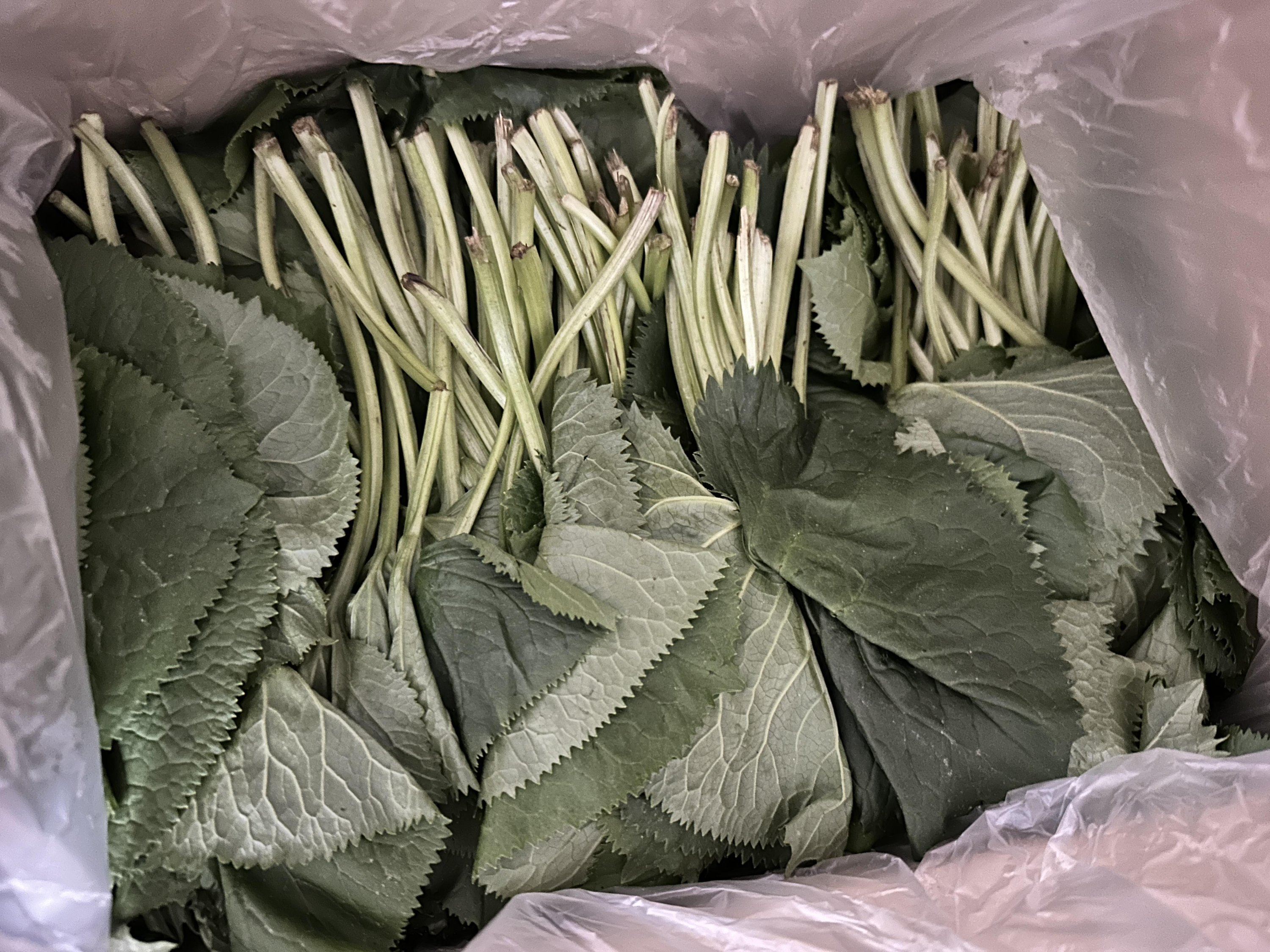 신흥실비식당 이미지