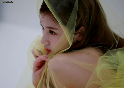 img.gif