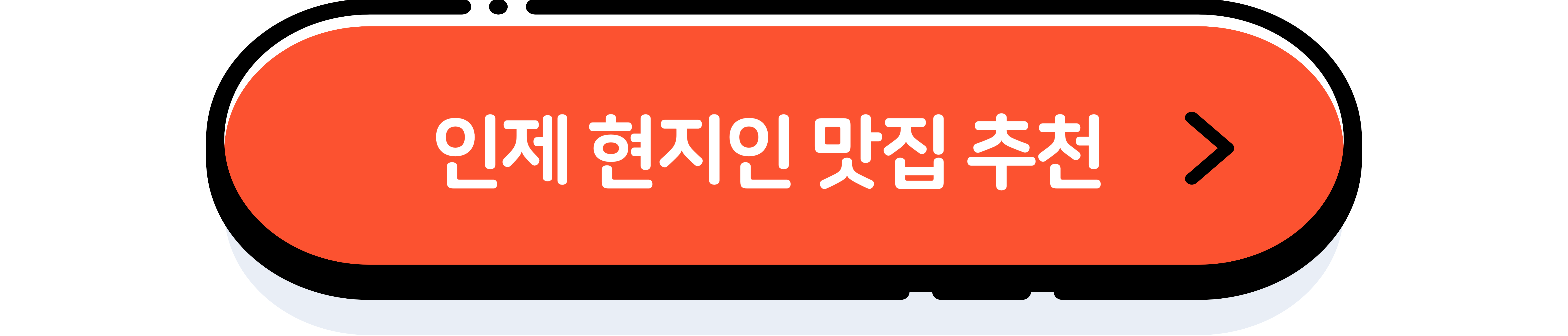 인제 가을꽃 축제 일정&#44; 팁 총정리