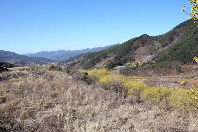 하위마을 전경