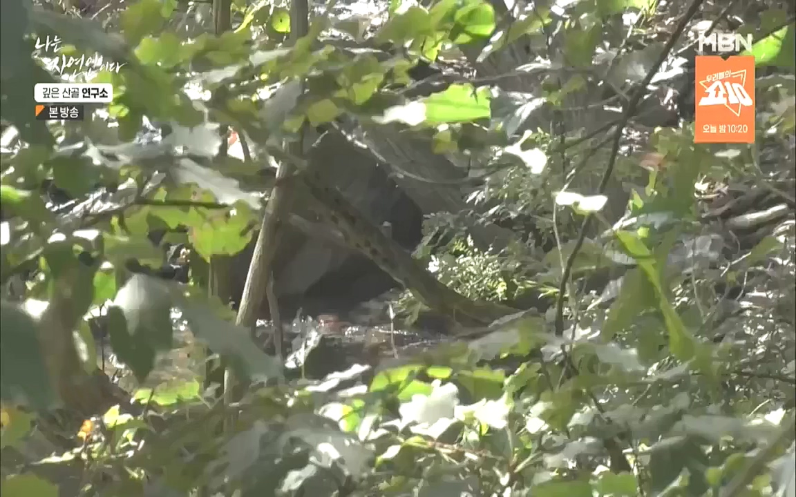 나는 자연인이다.E523.221013p.WANNA.mp4_20221013_201131.270.jpg