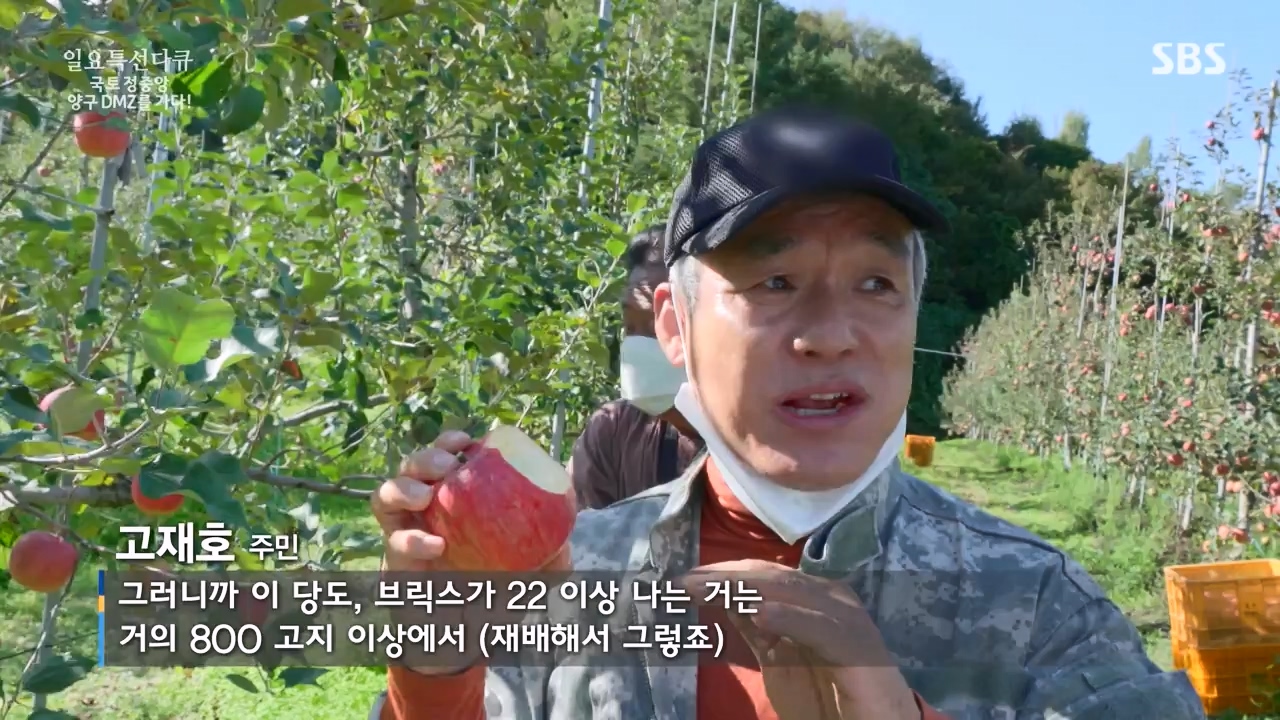 일요특선 다큐멘터리.E344.231204p-NEXT.mp4_20231206_194840.966.jpg