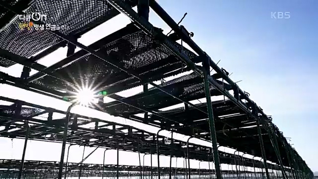 [190회] 다큐온 - KBS지역의 부활 1부 - 햇빛, 평생 연금을 주다] 지방 소멸이 가속화되고 있는 지금 한 지자체에서 실시.ts_20230328_203931.308.jpg