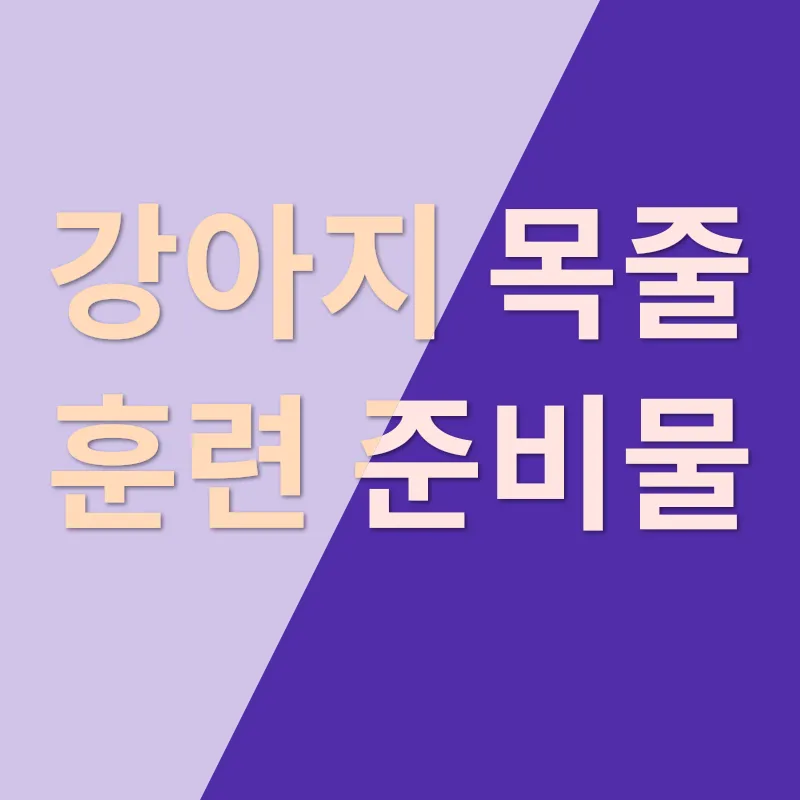 강아지 목줄 훈련_2