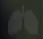 배틀그라운드-숨참기-폐