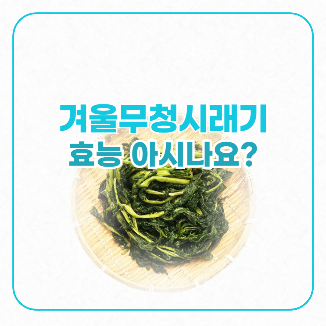 시래기