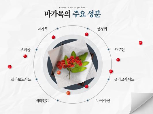 원석식품 이미지