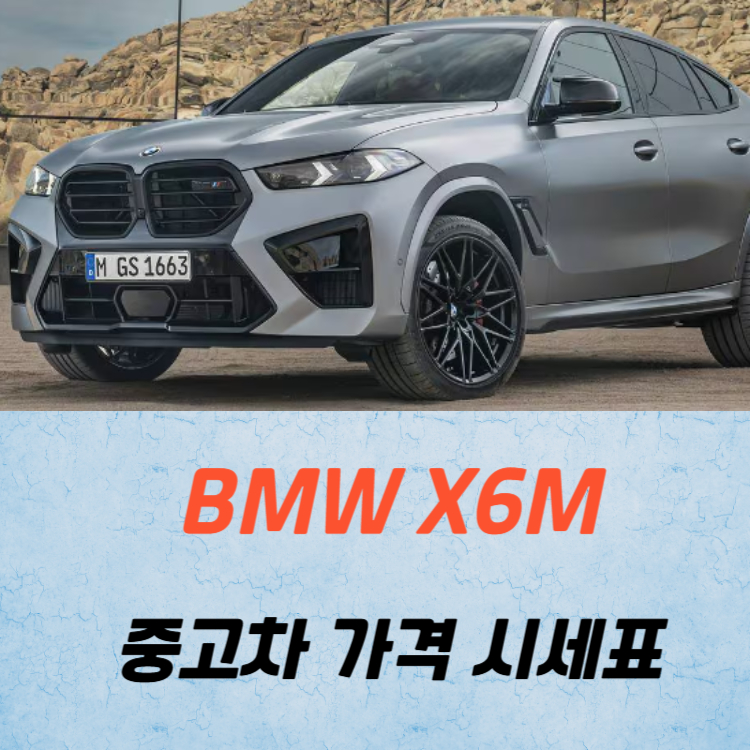 BMW X6M 중고차 가격 시세표 고속 시내 연비