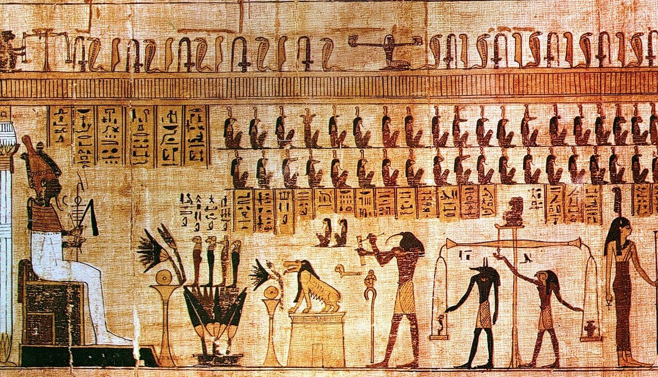 “고대-이집트부터-재배되기-시작한-카무트”