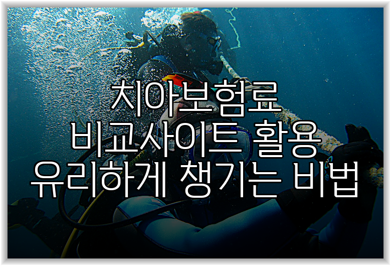 치아보험료 비교사이트 활용 유리하게 챙기는 비법