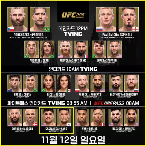 UFC 295 중계 메인 카드 경기 일정 강경호 카스타녜다 프로필