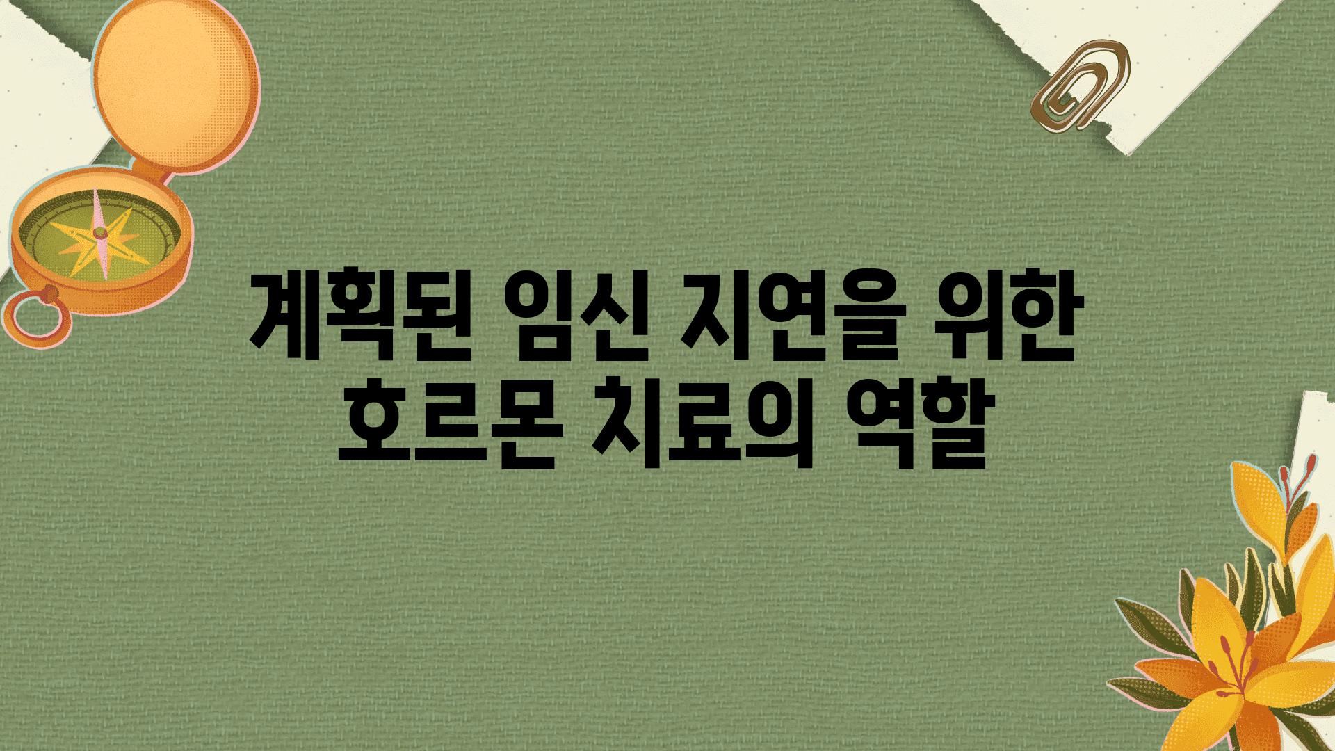 계획된 임신 지연을 위한 호르몬 치료의 역할