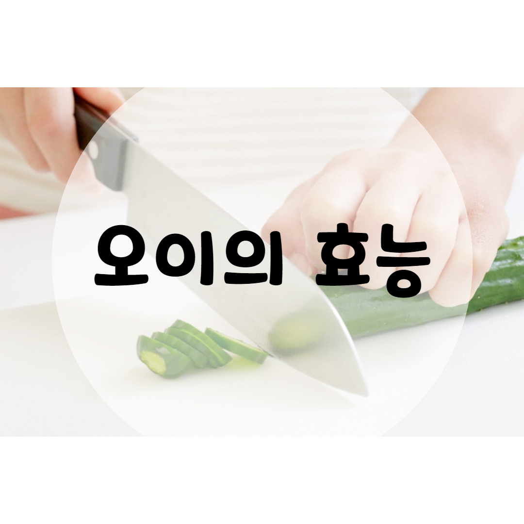  오이 효능 활용법 11가지