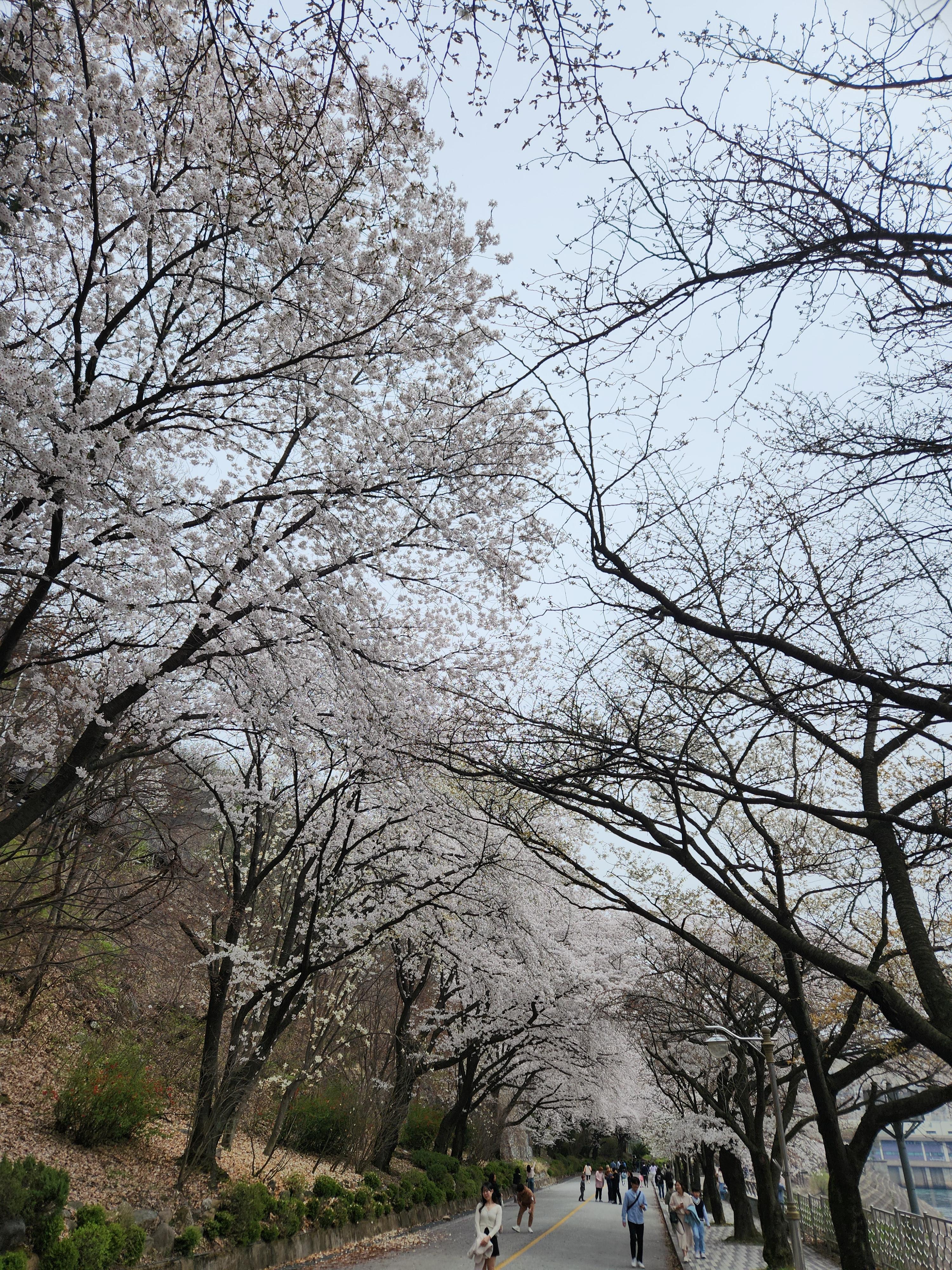 충주댐-순환-산책로