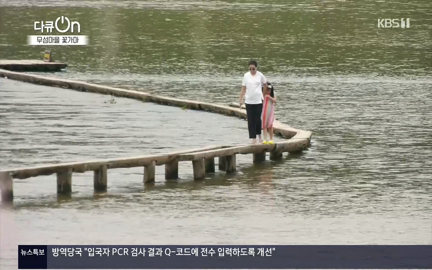 다큐 On.E156.220909p.H264-F1RST.mp4_20220910_190447.317.jpg