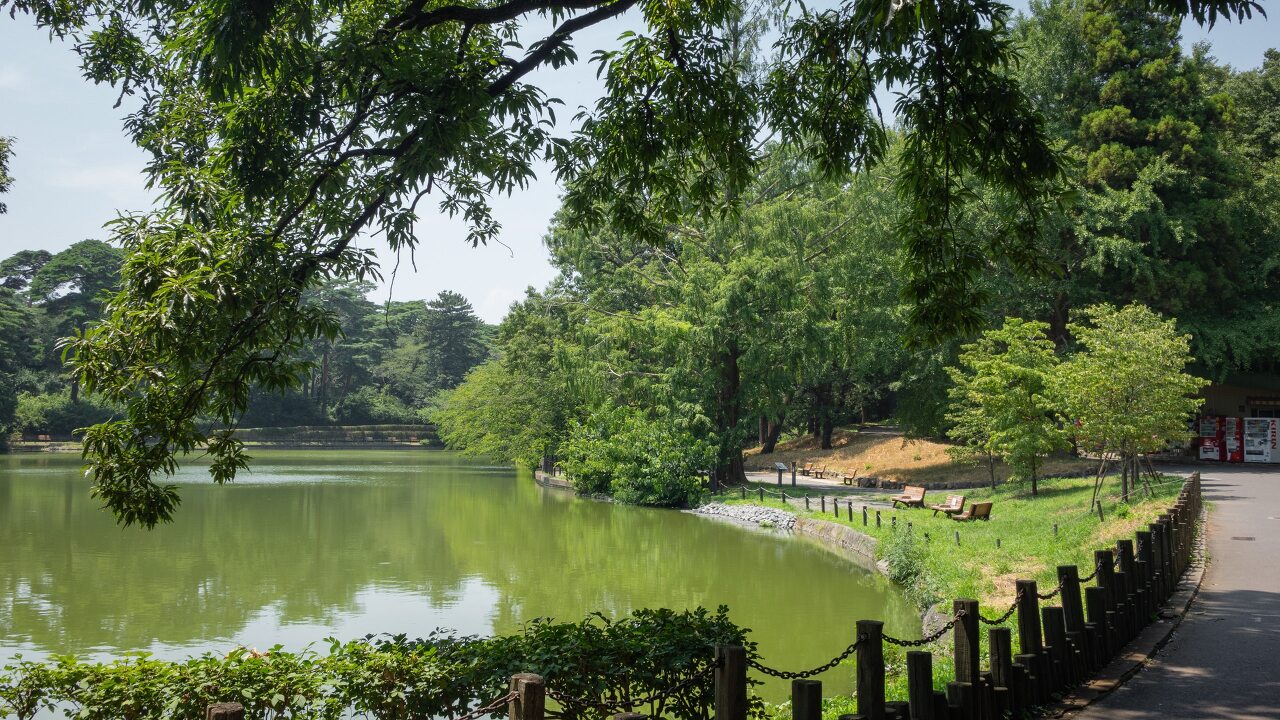 사이타마 오미야 공원