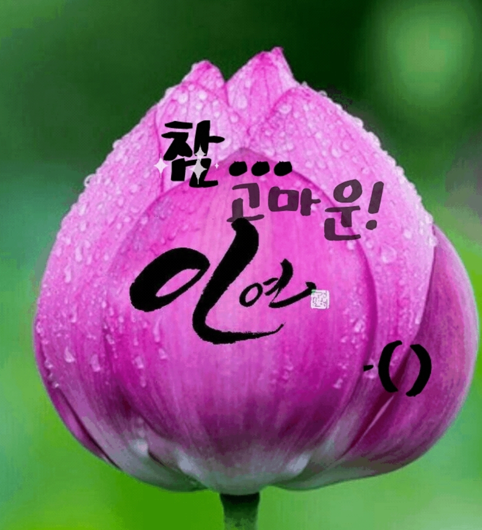  이런게 인연이지 싶습니다