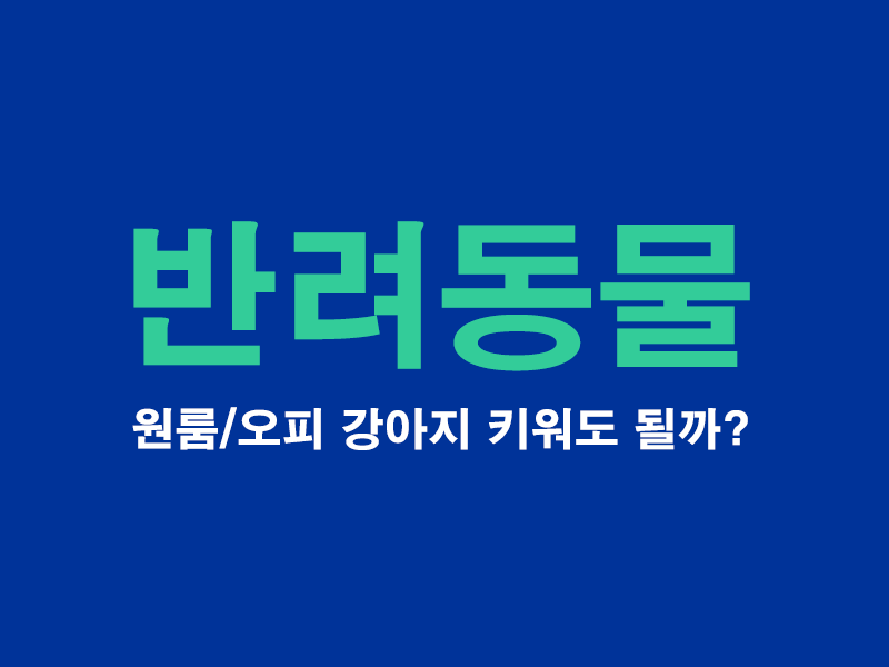 오피스텔-강아지키우기