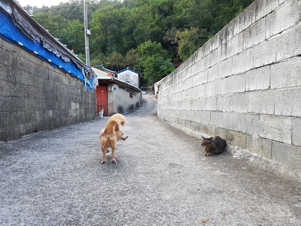  뜻밖의 여행