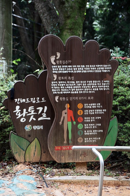 드림로드 이미지