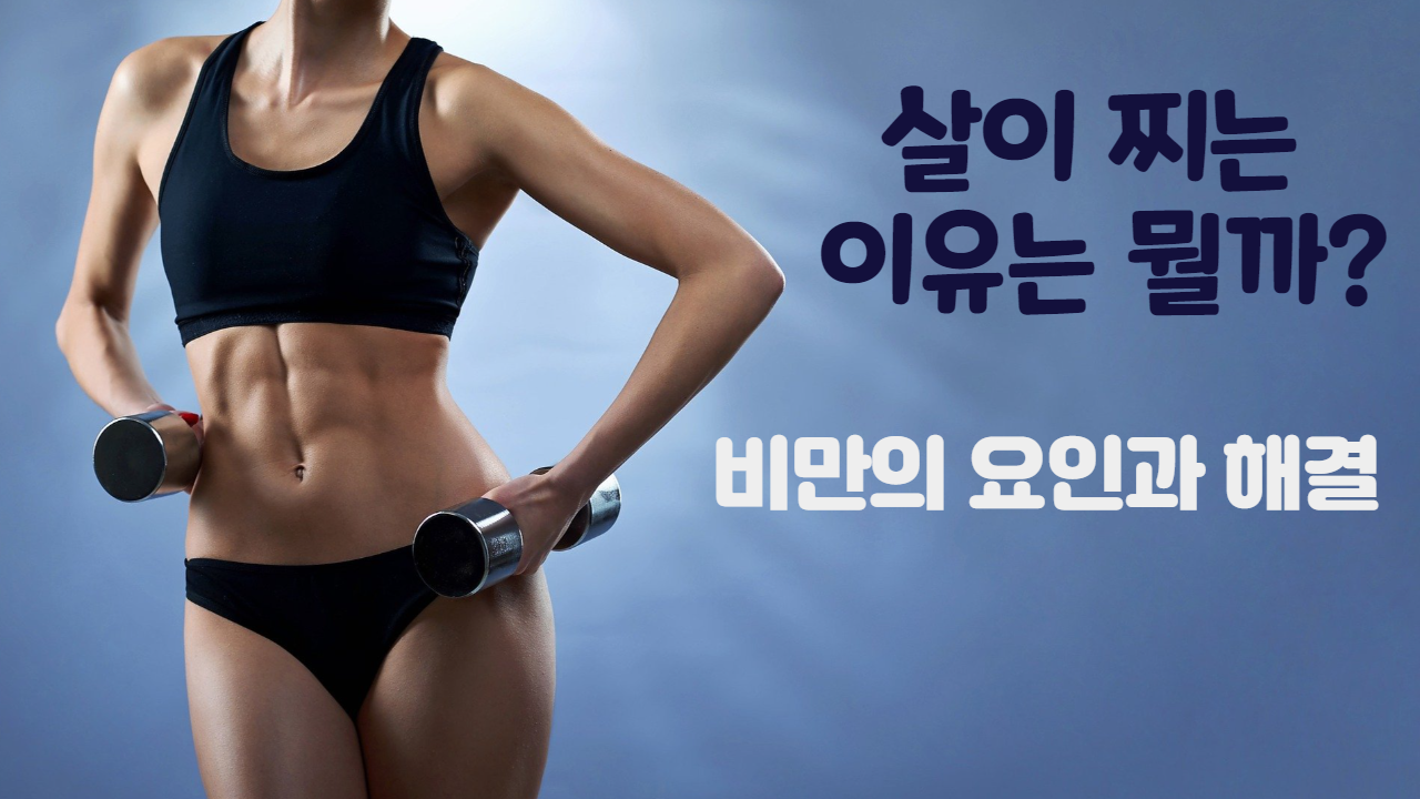  비만의 요인과 해결