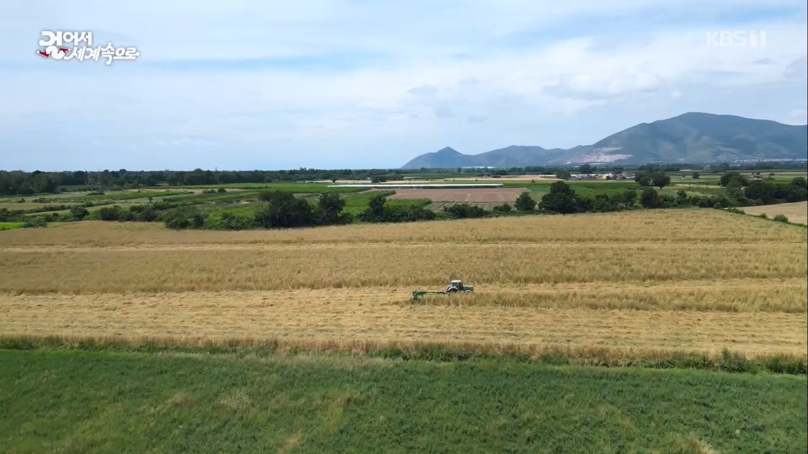 걸어서 세계속으로.E799.230708p.mp4_20230710_211555.752.jpg