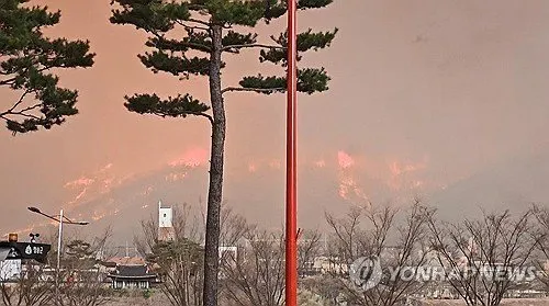 소사상태 뜻 의미 해석 사용법_6