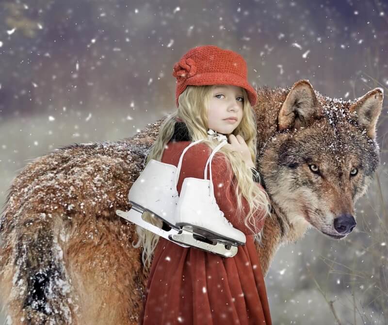 스케이트 신발을 들고 있는 소녀와 커다란 늑대 사진