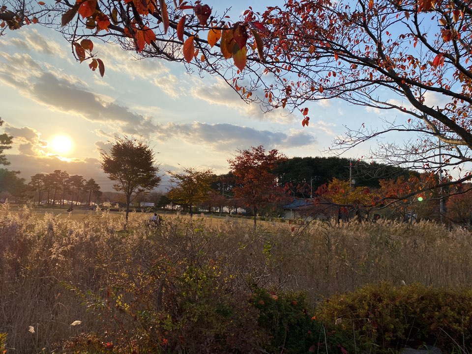 강릉-경포호-자전거