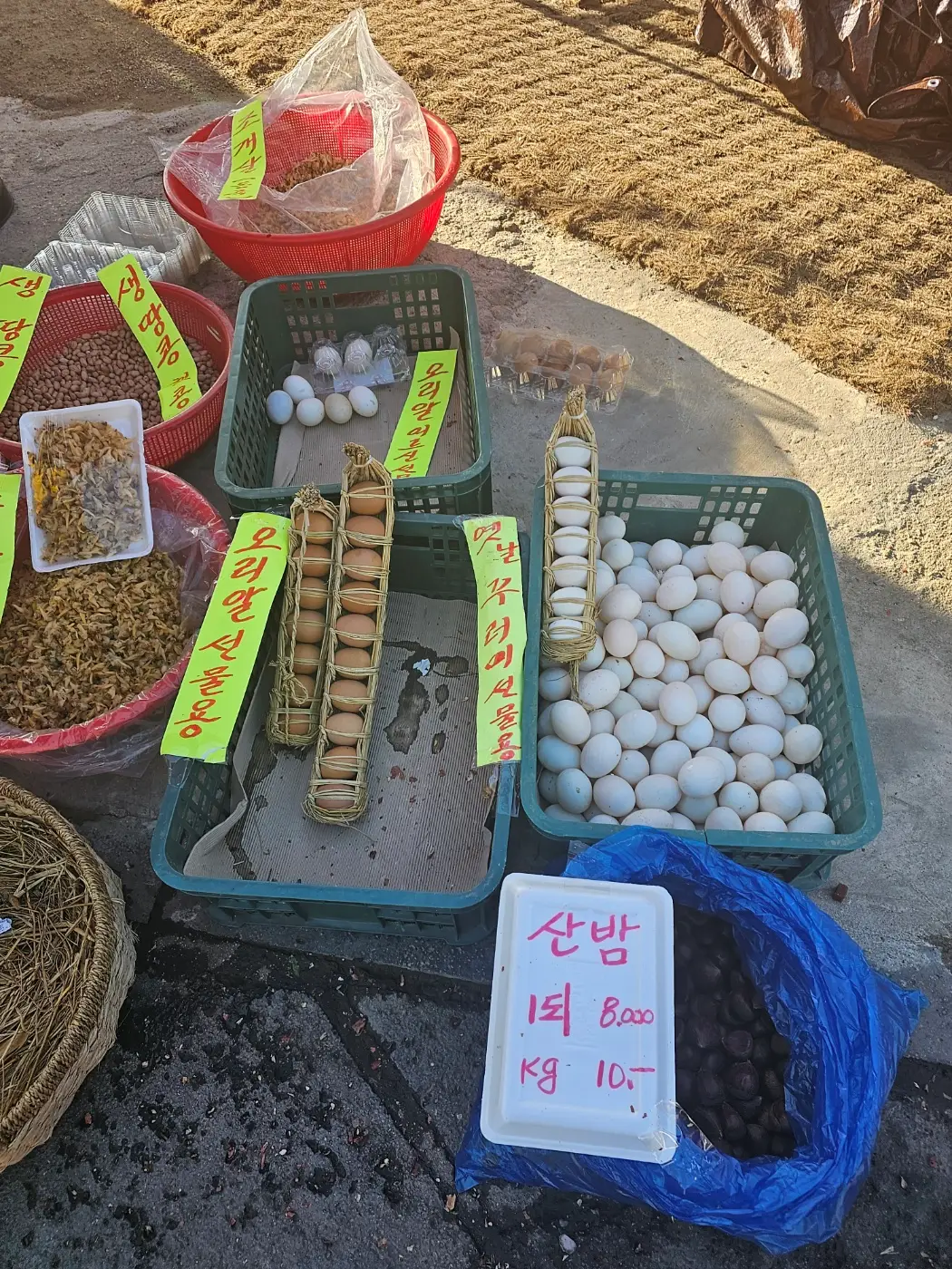 [강화 갈만한 곳] 교동 대룡시장 (어서와 한국은 처음이지 장소)