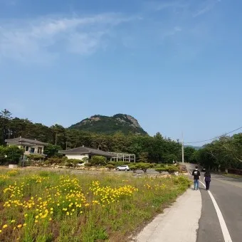 영암 가볼만한곳 베스트10 현지인 추천 필수코스_11