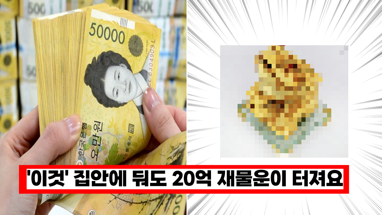  '진짜 효과 미쳤다.. ㅎㄷㄷ' 20억 재물운을 부르는 대박 풍수 아이템
