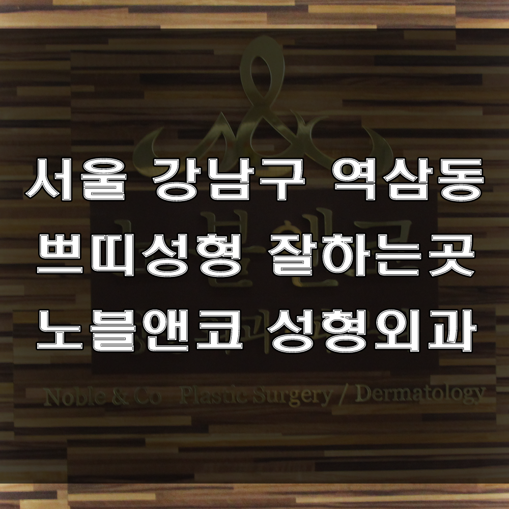  서울 강남구 역삼동 쁘띠성형 잘하는 곳, 노블앤코 성형외과, 피부과 의원 (feat : 쁘띠성형 유명한 곳, 후기좋은 병원)