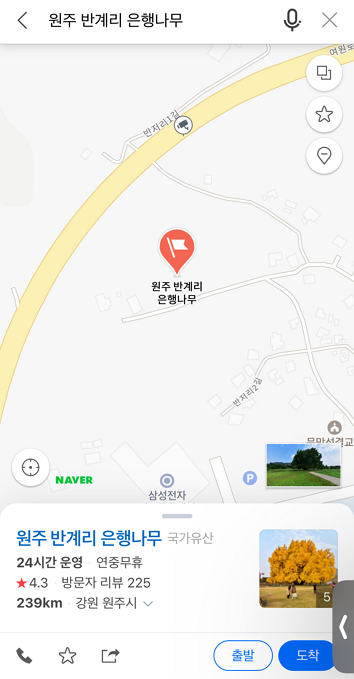 반계리 은행나무 실시간 CCTV 확인 바로가기