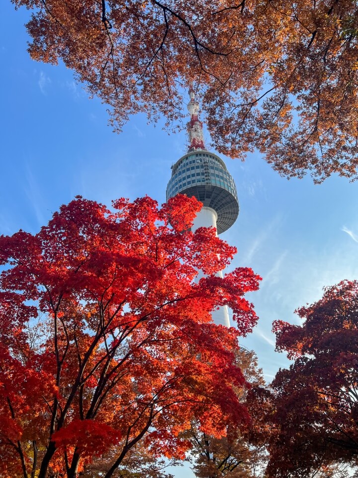 남산타워-그리고-붉은-단풍