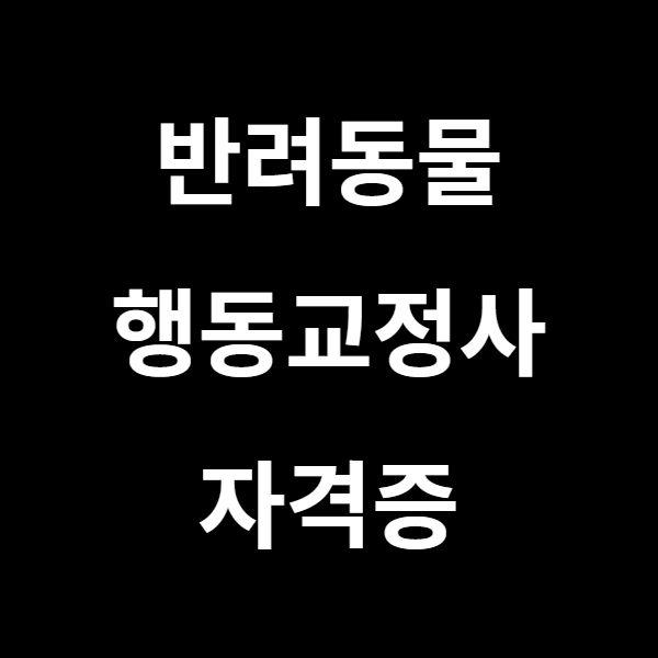  반려동물 관련 자격증 중 반려동물행동교정사 자격증에 대해서