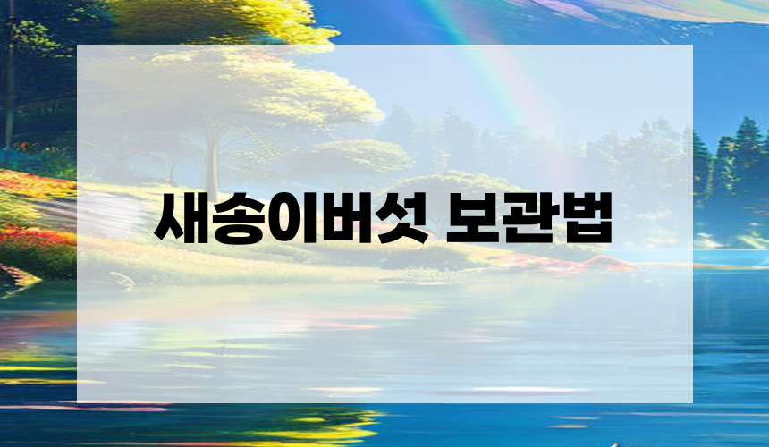 새송이버섯 보관법