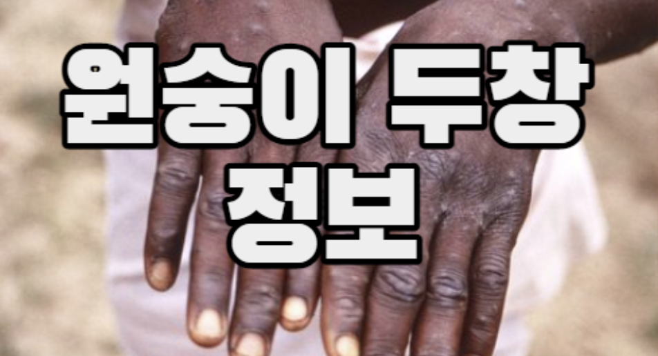  원숭이두창 전염(감염)경로, 증상, 발생국가, 예방법 알아보기
